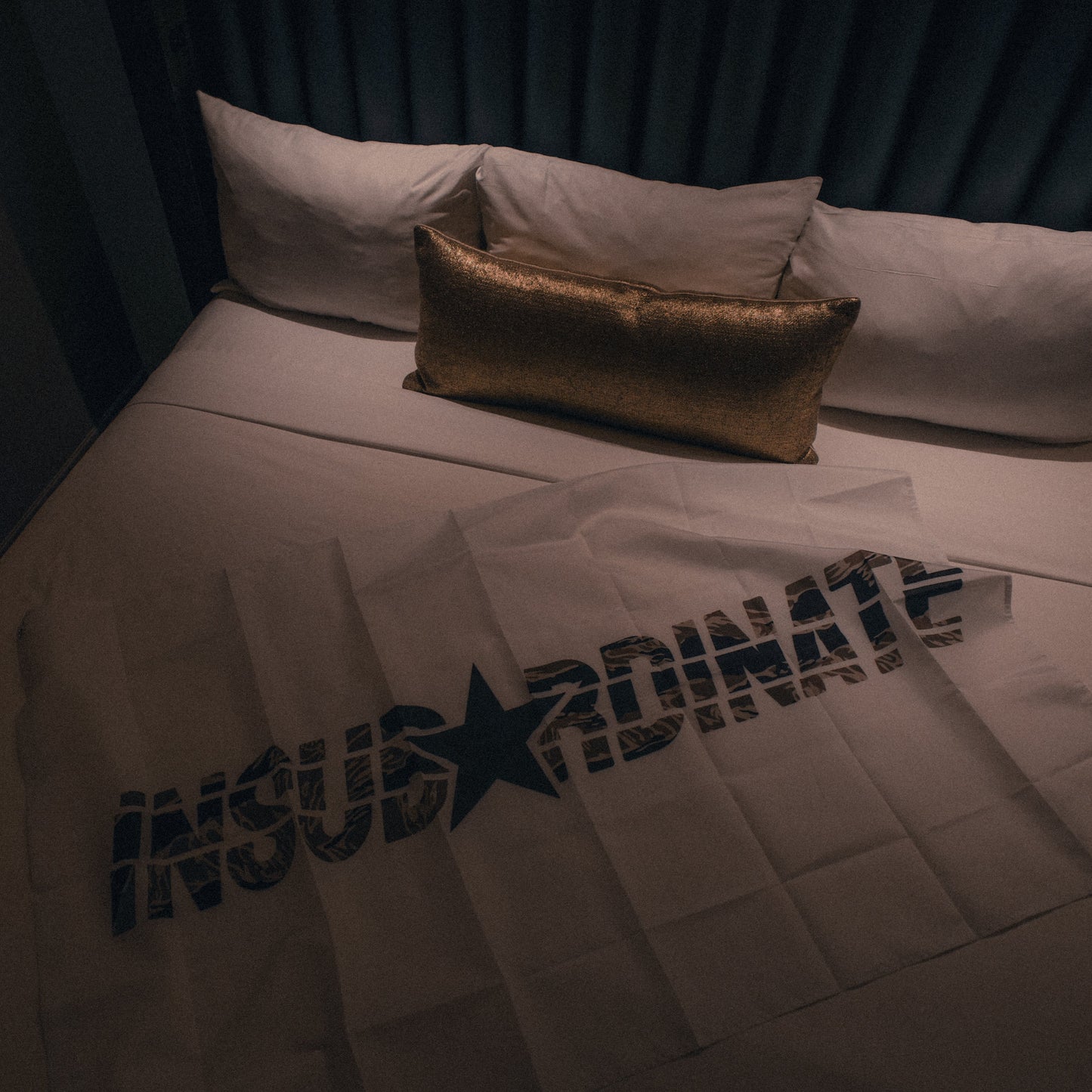 INSUBORDINATE - FLAG